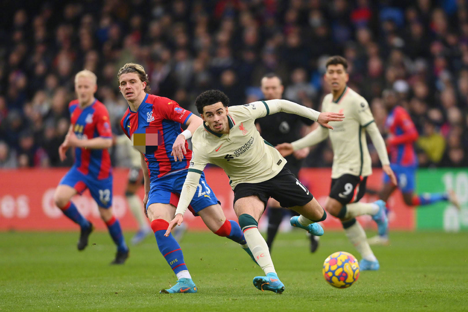 瓜迪奥拉面 瓜迪奥拉面